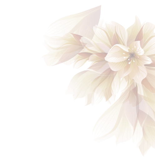 Lucida Spa & Wellness