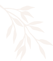 Lucida Spa & Wellness