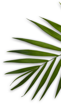 Lucida Spa & Wellness