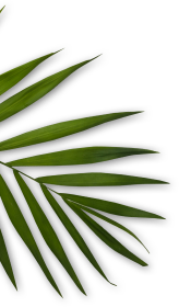 Lucida Spa & Wellness