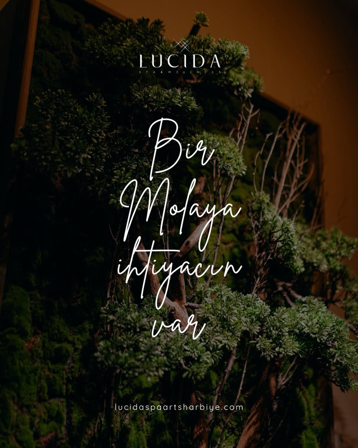 Küçük bir mola, büyük bir yenilenme…

Harbiye, Arts Hotel’in modern konforu ve Lucida Spa’nın uzman dokunuşlarıyla buluşuyor. Şehrin dinamizmine kısa bir mola verip, kendinizi tamamen size özel hazırlanmış bir huzur atmosferinde bulmaya ne dersiniz?
En üst segment bakım ürünleri ve profesyonel terapistlerimizle, bedeninize hak ettiği lüksü sunun.
📍 Lucida Spa | Arts Hotel Harbiye - Halaskargazi Cd. No:1, 34367 Şişli/İstanbul
📞 +90 537 257 85 33 taken in Arts Hotel Harbiye by @lucidaspaartsharbiye